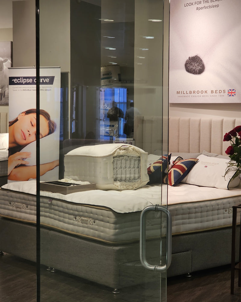 Official U.S. Market Debut at Las Vegas Market 2022